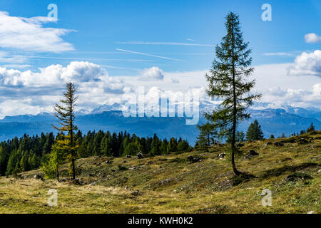 Blick auf das Dachsteinmassiv, von der Tauplitzalm, Alm, Österreich, Stockfoto