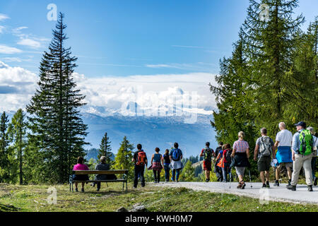 Blick auf das Dachsteinmassiv, von der Tauplitzalm, Alm, Österreich, Stockfoto