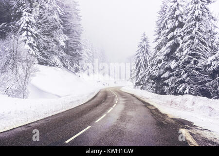 Gelöscht Straße Kurve in einer verschneiten Kiefernwald an einem nebligen Tag im Winter, Vogesen, Frankreich. Stockfoto