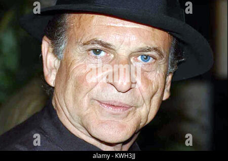 MIAMI, FL - Juli 28: (TÄGLICH UK) Oscar-prämierten Star Joe Pesci klagt für $ 3 m nach Piling auf 30 lbs eine Mafia Gangster zu spielen - nur aus der Rolle entleert werden. Die Hollywood Star hat eine Klage gegen die Produzenten des neuen Films welche Stars John Travolta als Mafia Boss John Gotti Jr Pesci behauptet, er war der Teil von Angelo Ruggiero, ein enger Freund angeboten und für Gotti Jr erzwingen eingeordnet, und vereinbart ein $ 3m. In Vorbereitung auf die Rolle, die er fast 30 lbs zu helfen, Ruggiero, der für seine schwere und stämmigen Bau bekannt war Spielen gewonnen. Aber in rechtlichen Papiere in Los Angeles eingereicht Der 68-jährige Schauspieler clai Stockfoto