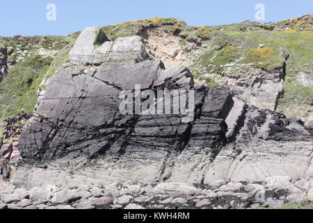 Caerfai Bay, St Davids, Pembrokshire, Malcolm Buckland Stockfoto