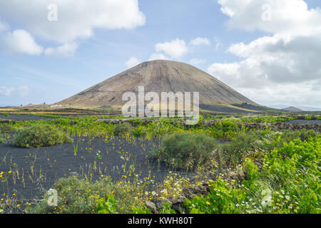 Groß Lava Hügel auf Lanzarote. Die Natur und der Himmel. Reisen Foto. Sommer 2015. Stockfoto