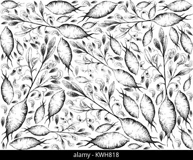Root und knötchenförmige Gemüse, Illustration Hand gezeichnete Skizze von Earthnut Pea oder Lathyrus Tuberosus Pflanze isoliert auf weißem Hintergrund. Stock Vektor