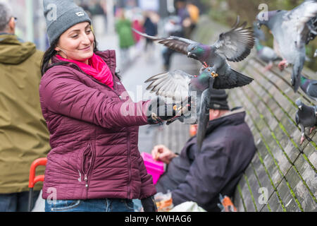 Frau füttern Verwilderter Tauben (Columba livia domestica) in der Stadt Brighton, East Sussex, England, UK. Stockfoto