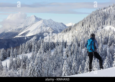 Frau Wanderer in Active Outfit auf einem Hügel mit Fichten bedeckt mit Schnee und geniessen den Winter Bergpanorama, Krvavec, Slowenien. Stockfoto