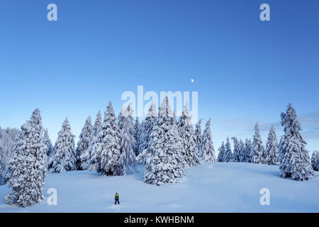 Junge stehend auf schneebedeckten Berg vor Wald Blick auf den Mond auf einem hellen Abend, Krvavec, Slowenien Fichte. Stockfoto