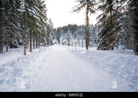 Majestätische Landschaft mit schneebedeckten Bäumen. Dramatische winter Szene Stockfoto