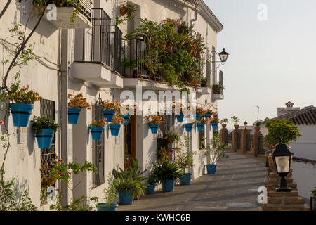 Weiße Häuser mit blauen Töpfen. Mijas. Costa del Sol. Andalusien. Stockfoto