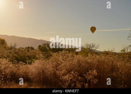 Ein Heißluftballon fliegt über die Tanque Verde Creek auf einer Dezember Morgen auf der Ostseite der Sonoran Wüste, Tucson, Arizona, USA. Stockfoto