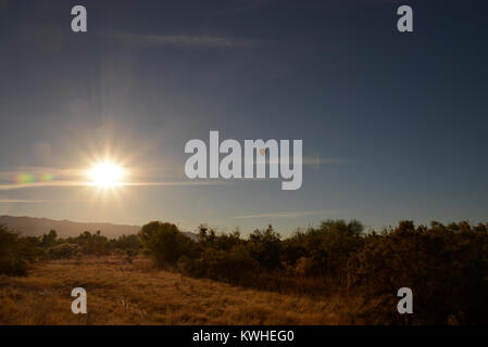 Ein Heißluftballon fliegt über die Tanque Verde Creek auf einer Dezember Morgen auf der Ostseite der Sonoran Wüste, Tucson, Arizona, USA. Stockfoto