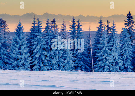 Von der "tübenwasen' im Schwarzwald in der Nähe Freiburg in Deutschland. Sie können manchmal an einer kristallklaren Tag die Alpen sehen. Die Wolken am Rhein Stockfoto