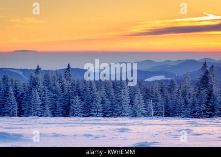 Von der "tübenwasen' im Schwarzwald in der Nähe Freiburg in Deutschland. Sonnenuntergang auf den schönen Hügeln mit intensiven Farben des Himmels und kühlen Blau co Stockfoto