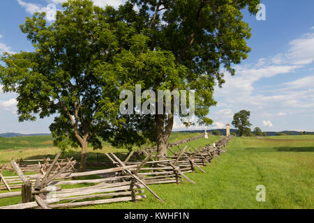 Blick entlang der Hohlweg, Bloody Lane, Antietam National Battlefield, Maryland, USA. Stockfoto