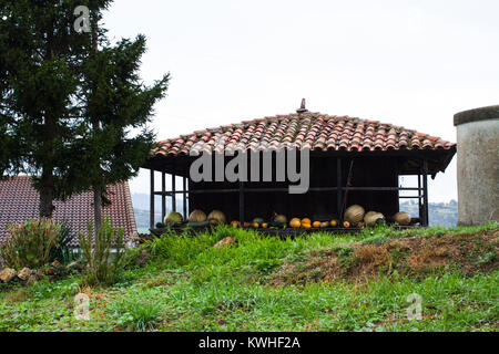 Kürbisse trocknen in einem typischen hölzernen Getreidespeicher horreo genannt. Asturien, Spanien Stockfoto