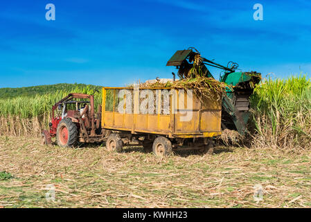 Zuckerrohr Ernte auf dem Feld mit einem Mähdrescher in Santa Clara in Kuba - Serie Kuba Reportage Stockfoto