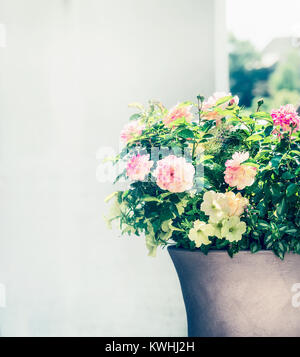 Schöne Terrasse, Topf mit Rosen und Petunien, die Blumen auf dem Balkon oder Terrasse. Container Pflanzmaschine Gartenarbeit Stockfoto