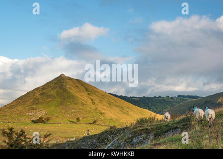 Thorpe Cloud Hügel in Dovedale auf die Derbyshire/Staffordshire, England Stockfoto