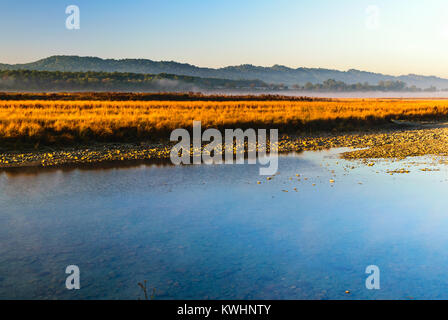 Morgennebel im Winter wo river Ramganga fließende, Life Line von Jim Corbett National Park Stockfoto