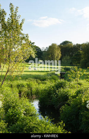 English countryside sheep grazing in meadows with winding stream. England UK Stockfoto