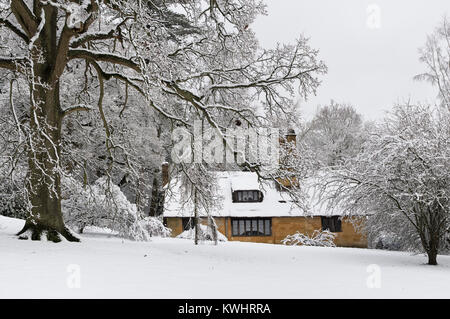 Reetdachhaus und Winter Bäume im Schnee im Dezember bei Batsford Arboretum, Cotswolds, Moreton-in-Marsh, Gloucestershire, England Stockfoto