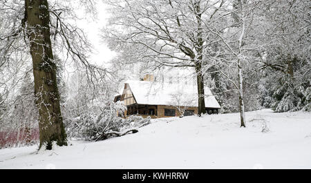 Reetdachhaus und Winter Bäume im Schnee im Dezember bei Batsford Arboretum, Cotswolds, Moreton-in-Marsh, Gloucestershire, England Stockfoto