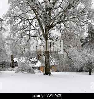 Reetdachhaus und Winter Bäume im Schnee im Dezember bei Batsford Arboretum, Cotswolds, Moreton-in-Marsh, Gloucestershire, England Stockfoto