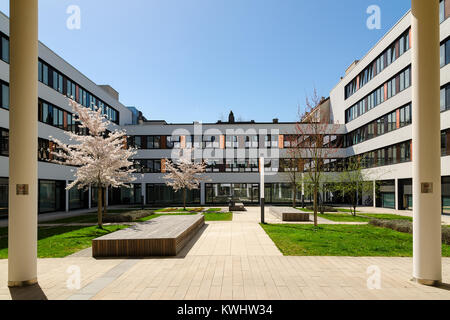 München, Deutschland - 04 April, 2016: Sakura spring blossom im Innenhof der modernen Bürogebäude an der Sankt Martin Straße in München Stockfoto