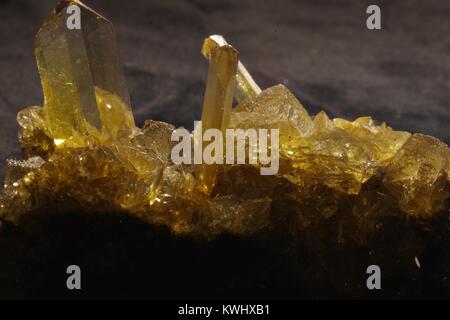 Gelbe Fishtail Gips Crystal Cluster. Makro Bild der geologischen Proben. Großbritannien Stockfoto