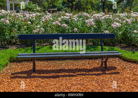 Bank Park in El Rosedal de Palermo, Bosques de Palermo Park, Buenos Aires, Argentinien Stockfoto