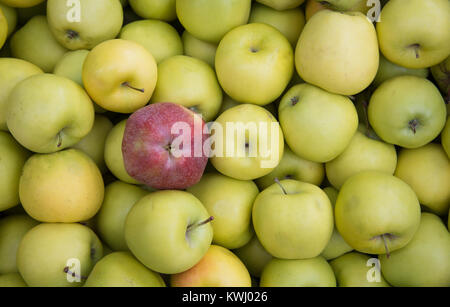 Red Apple ruht auf einer Gruppe von Frische, grüne Äpfel auf einen Obstmarkt Stockfoto