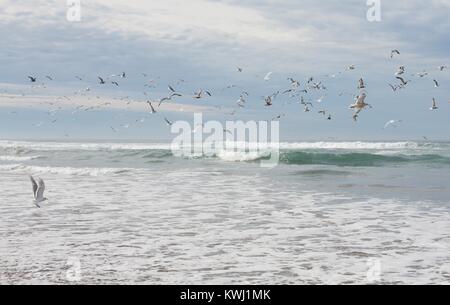 Rammstein über den Ozean an Salmon Creek Strand in Bodega Bay, Kalifornien, USA fliegen. Stockfoto