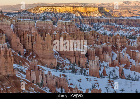 Vom Canyon Wände um die Lamellen nicht hoodoos Erosion ändert sich ständig die Szenerie im Bryce Canyon National Park Stockfoto