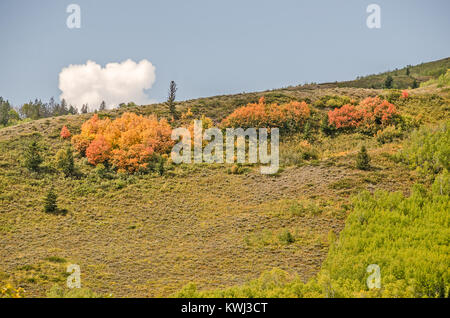 Herbst Farben beginnen auf einem Hügel mit einer wunderschönen Wolken im blauen Himmel zu zeigen Stockfoto