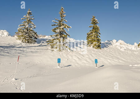 Blau und Weiß handicap Parkplatz Schilder in tiefem Schnee mit keinen Platz, Park Stockfoto