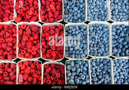 Full Frame Geschossen, die aus einer Mischung aus Himbeeren und Blaubeeren getrennt in die Mitte. Stockfoto