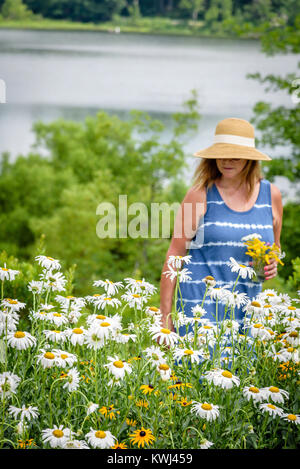 Frau in sonnenhut Kommissionierung frische Blumen aus dem Garten am See Stockfoto