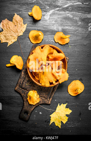 Frische Pfifferlinge in eine Schüssel geben. Auf der schwarzen Tafel. Stockfoto