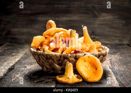 Pilze Pfifferlinge im Korb. Auf einer hölzernen Hintergrund. Stockfoto