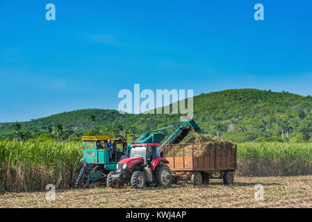 Zuckerrohr Ernte auf dem Feld mit einem Mähdrescher in Santa Clara in Kuba - Serie Kuba Reportage Stockfoto