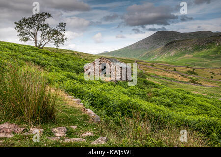Eskdale im westlichen Bereich des Lake District National Park Cumbria GROSSBRITANNIEN Stockfoto