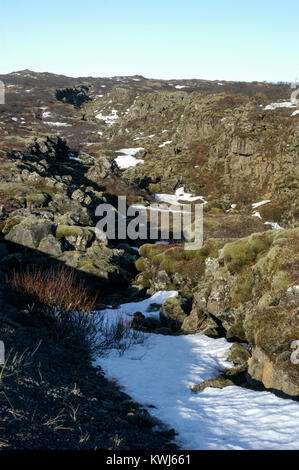 Eine lange Trennlinie von Rock Trennung der eurasischen Kontinentalplatte und Nordamerikanischen Platte in der Pingvillir Thingvellir Nationalpark in Sou Stockfoto