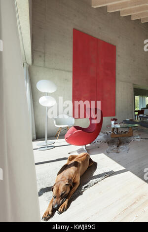 In einem Loft, modernes Wohnzimmer mit roten Sessel, Betonwände Stockfoto