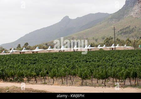 Reibeek West in der Region Swartland Western Cape Südafrika. Dezember 2017. Landarbeiter Cottages auf einem Weingut mit Solarzellen auf dem Ro Stockfoto