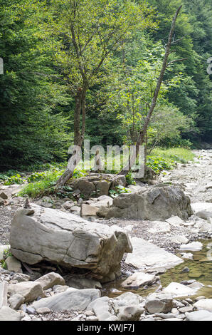 Fluss Wetlina in Bieszczady Berge. Bieszczady-gebirge ist ein Teil der Karpaten. Polen. Stockfoto