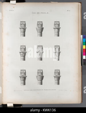 Detaillierte Ansicht der Säulenkapitelle vom Tempel des Westens auf Philae Island, Ägypten, mit Beispielen von altägyptischen Steinschnitzereien, Blumenmotiven und Tempelarchitektur. Stockfoto