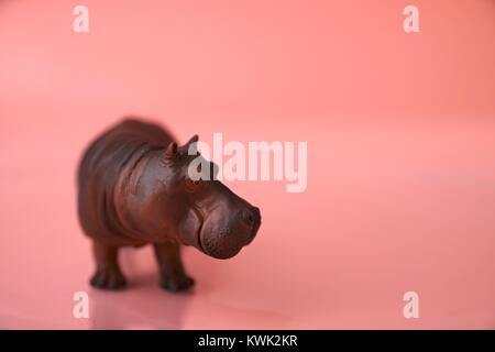 Hippos für Valentines Tag und andere Veranstaltungen Herzen Stockfoto