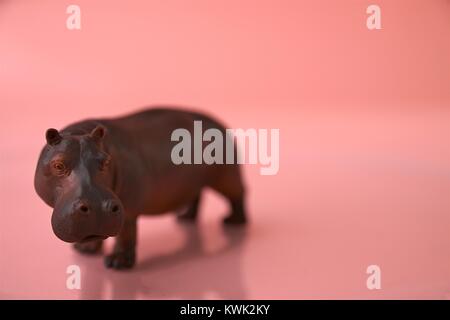 Hippos für Valentines Tag und andere Veranstaltungen Herzen Stockfoto