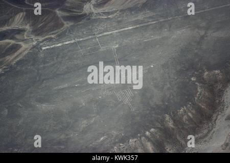 Luftbild des Vogels Abbildung bei Nazca Linien aus dem Flugzeug gesehen, Nazca Lines, Peru Stockfoto