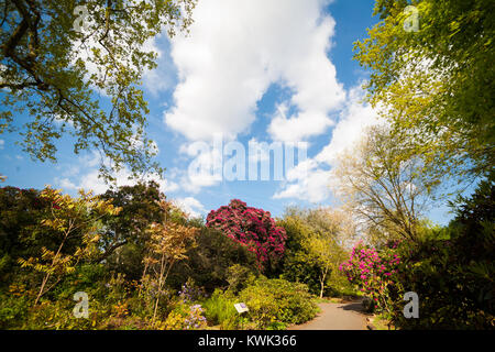 5000 Hektar Qualität Grünflächen über acht London Parks. Kostenlos zu besuchen und an jedem Tag des Jahres geöffnet, die Parks sind für Jedermann. Stockfoto