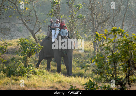 Touristen auf Elephant Jungle Safari im Chitwan Nationalpark, Nepal Stockfoto